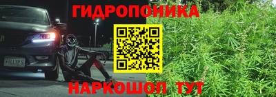 спиды Кунгур