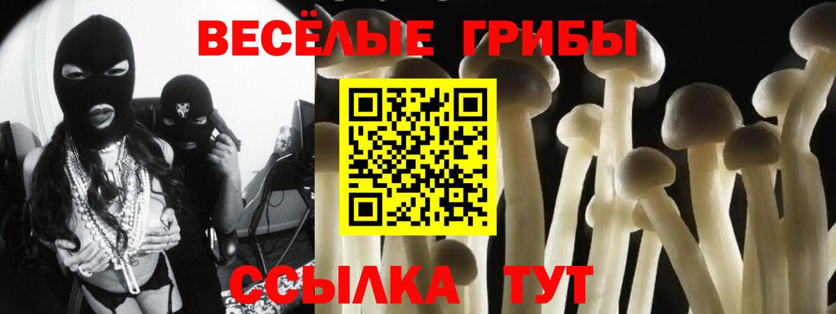 Псилоцибиновые грибы GOLDEN TEACHER  Вход с VPN  где купить наркоту  Чусовой  Псилоцибиновые грибы Magic Shrooms 
